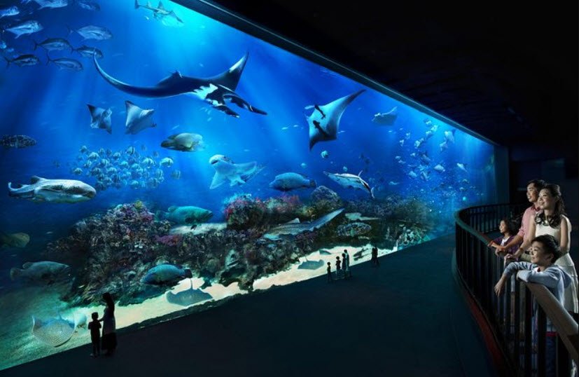 S.E.A. Aquarium, Sentosa Island, Singapore